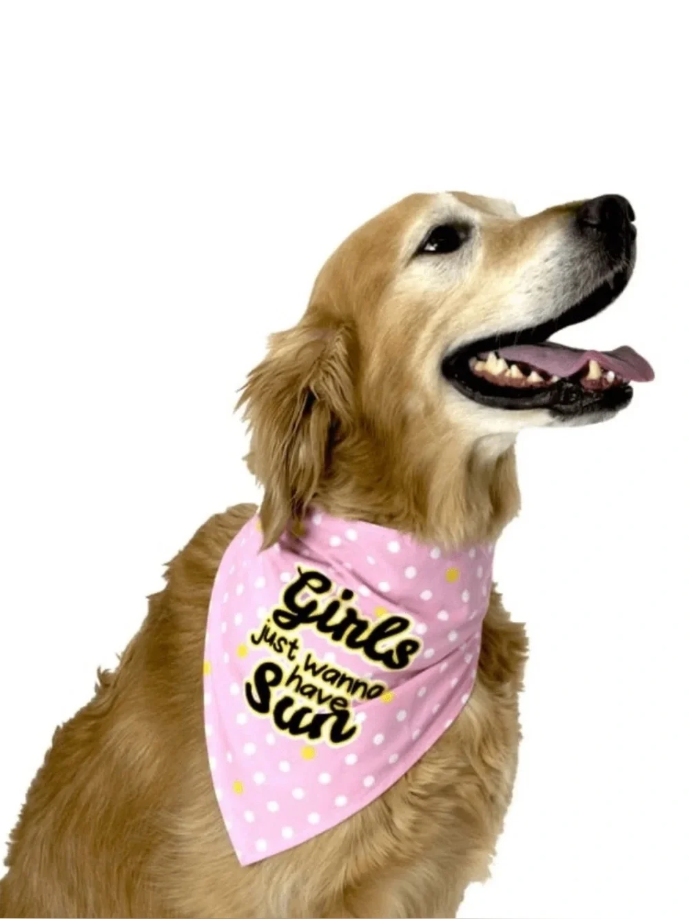 Vibrant Life Dog Girls Just Wanna Have Sun Bandana Set